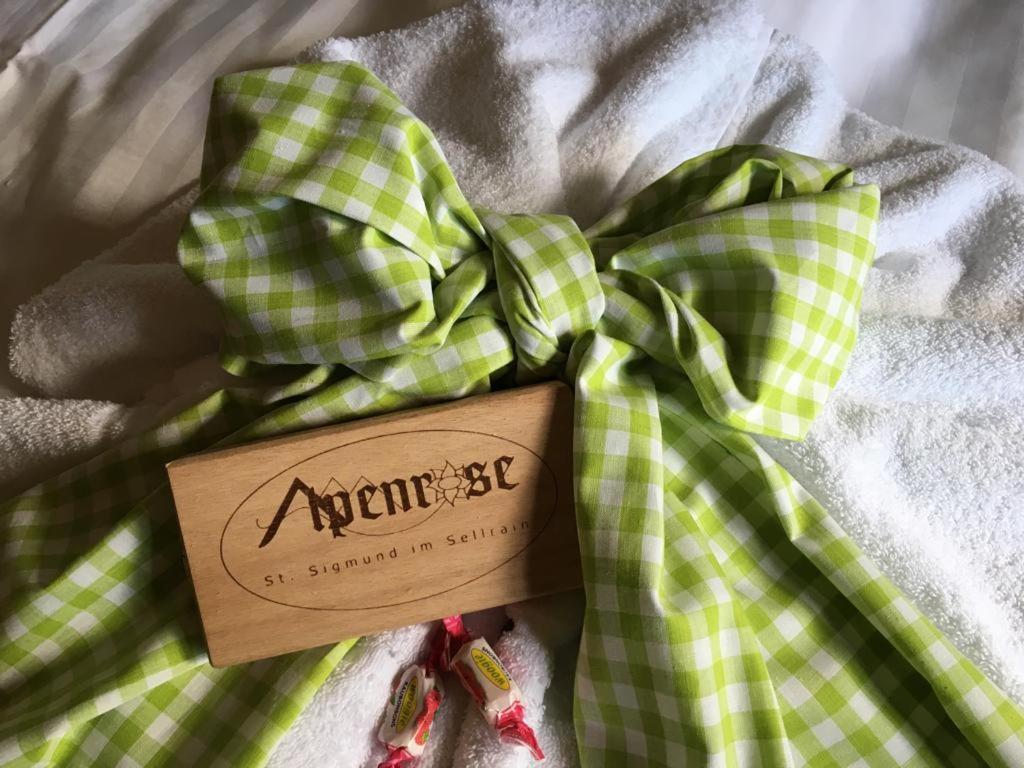 Pension Alpenrose Sankt Sigmund im Sellrain Exterior photo