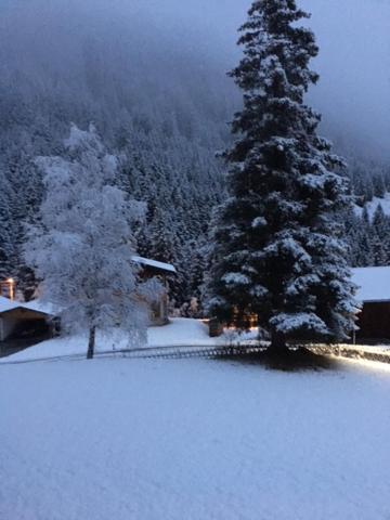 Pension Alpenrose Sankt Sigmund im Sellrain Exterior photo